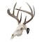 Allen Co EZ Mount Skull Hanger, Fixed, Black 7227 - alternate 1